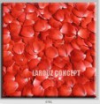 /album/photo-gallery-canvas-uri/decoratiuni-de-perete-canvas-lc-0781-jpg/